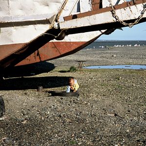 Foto Chamisso's Shadow