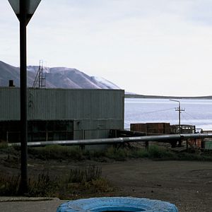 Foto Chamisso's Shadow