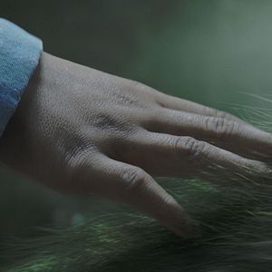 Foto Meu Amigo, O Dragão