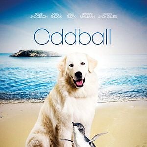 Foto Oddball e os Pinguins