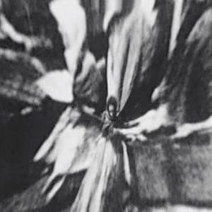 Foto New York Ghetto Fishmarket 1903