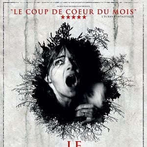 Foto A Maldição da Floresta