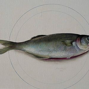 Foto Glauco do Brasil