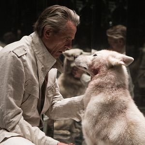 Foto No Topo do Poder