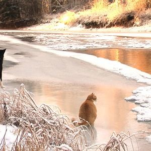Foto Todo o Tempo do Mundo