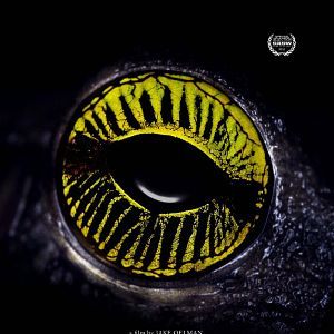 Foto Learning to See - The World of Insects