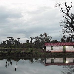 Foto O Signo das Tetas