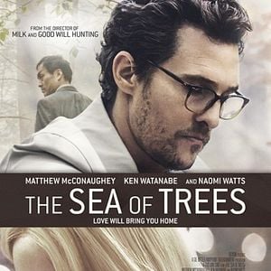 Foto O Mar de Árvores