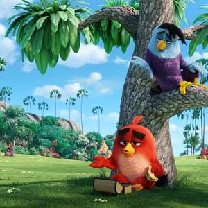 Foto Angry Birds - O Filme