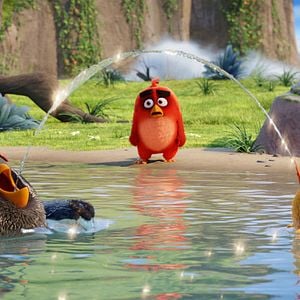 Foto Angry Birds - O Filme