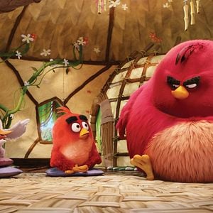 Foto Angry Birds - O Filme