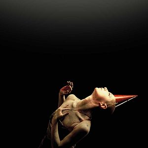 Foto Gaga - O Amor Pela Dança