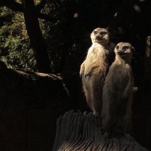 Foto O Lugar Que Ocupas