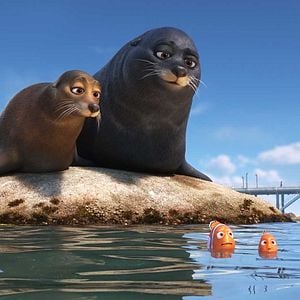 Foto Procurando Dory