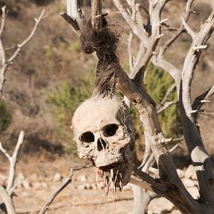 Foto Rastro de Maldade