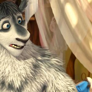 Foto Um Lobo em Pele de Cordeiro