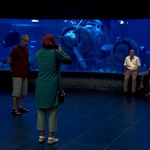 Foto Álbum de Família