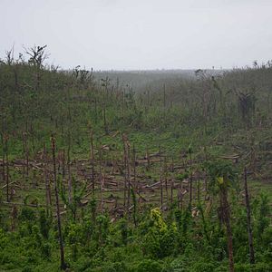Foto Ouragan