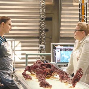 Foto Emily Deschanel