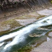 Foto The Sad & Beautiful World of Sparklehorse