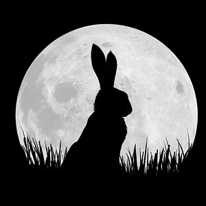 Foto Watership Down