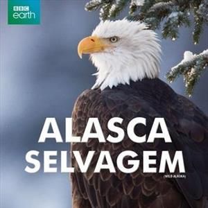 Foto Alasca Selvagem