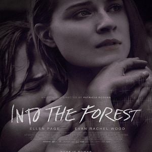 Foto Into the Forest