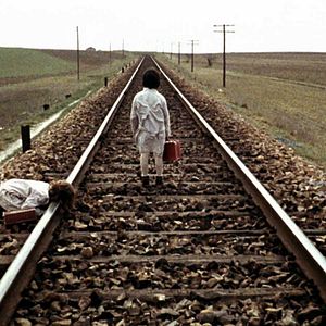 Foto O Espírito da Colmeia