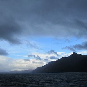 Foto O Botão de Pérola