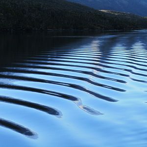 Foto O Botão de Pérola