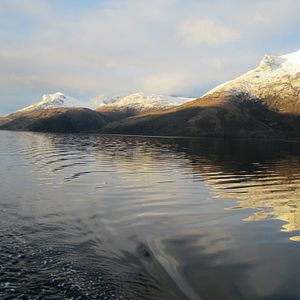 Foto O Botão de Pérola