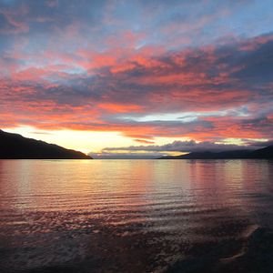 Foto O Botão de Pérola