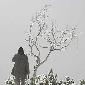 Foto We Only Live Twice