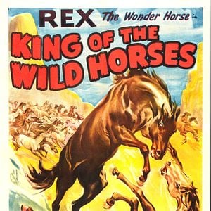 Foto O Rei dos Cavalos Selvagens
