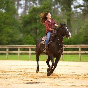 Foto Coragem Para Vencer