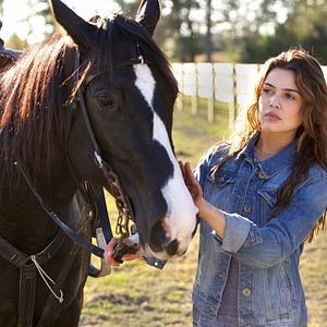 Foto Coragem Para Vencer