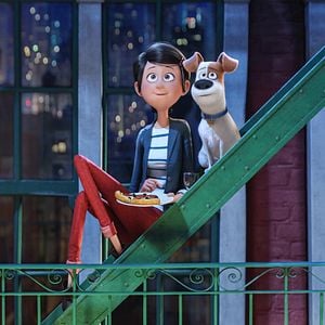 Foto Pets: A Vida Secreta dos Bichos