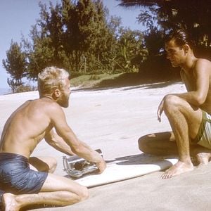 Foto Alegria De Verão