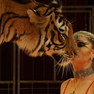 Foto Mulheres Selvagens