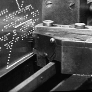 Foto Dorina - Olhar Para o Mundo