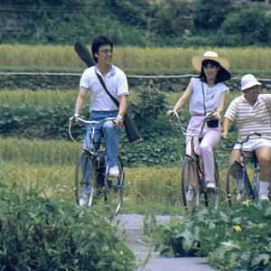 Foto A Grama Verde de Casa