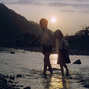 Foto A Grama Verde de Casa