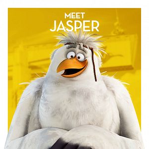 Foto Cegonhas - A História que Não te Contaram