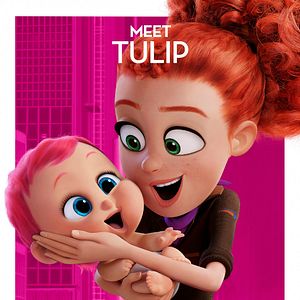 Foto Cegonhas - A História que Não te Contaram