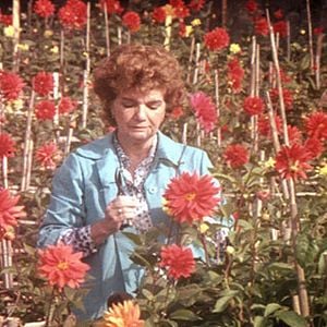 Foto Visita ou Memórias e Confissões