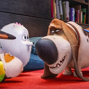 Foto Pets: A Vida Secreta dos Bichos