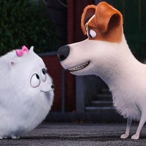 Foto Pets: A Vida Secreta dos Bichos