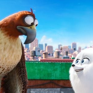 Foto Pets: A Vida Secreta dos Bichos