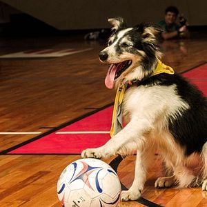 Foto Carrossel 2 - O Sumiço de Maria Joaquina