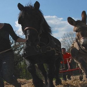 Foto Invisible (R)Evolutions